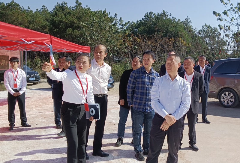 IMG_20231122_103445.jpg IMG_20231122_103445.jpg