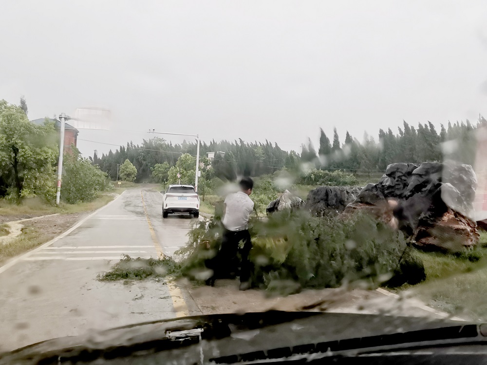 微信图片_20230506160142.jpg 微信图片_20230506160142.jpg