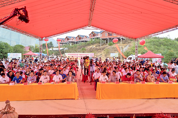 新田举办首届“中国农民丰收节”庆祝活动_乡镇动态_新田县人民政府